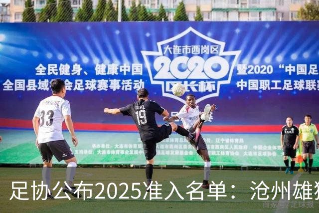 足协公布2025准入名单：沧州雄狮、广州队无缘